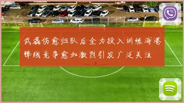 武磊伤愈归队后全力投入训练海港锋线竞争愈加激烈引发广泛关注