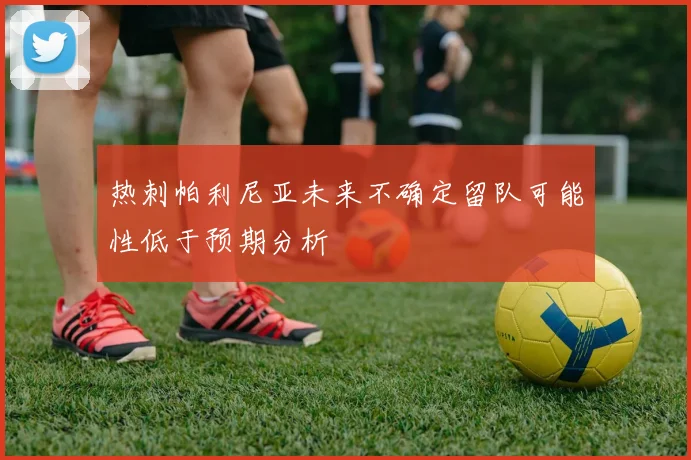 热刺帕利尼亚未来不确定留队可能性低于预期分析